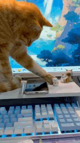 你虽然是猫但是真的狗 动图 当你打网游网卡时belike