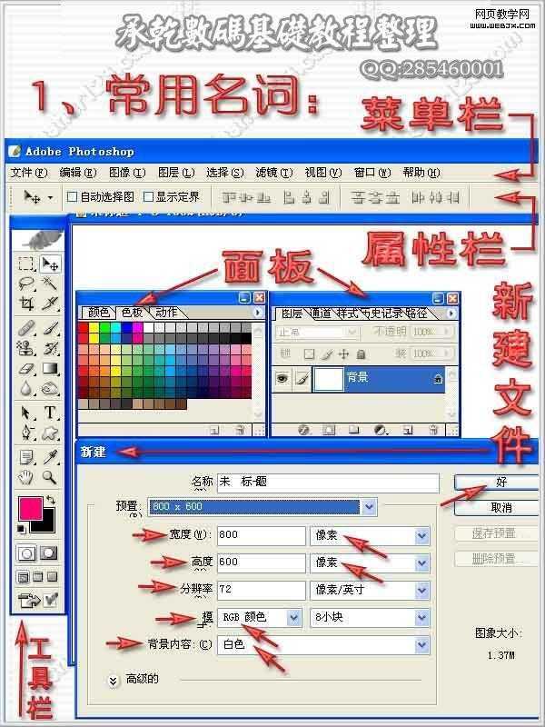 Photoshop 基础工具使用技巧