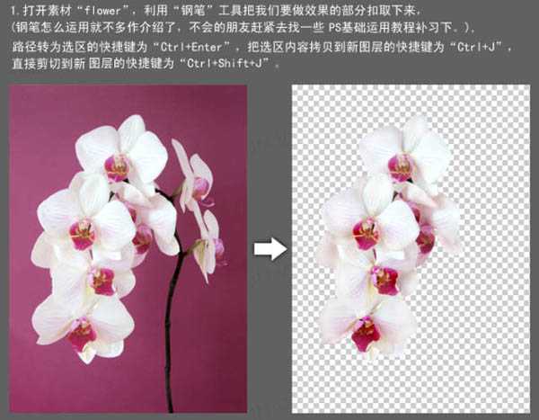 Photoshop合成牛奶泼洒出纯白色花朵的效果