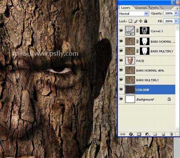 PS合成恐怖效果的树皮人脸效果教程