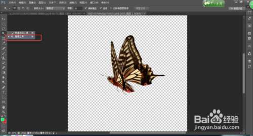 photoshop cs6魔棒工具使用技巧详解