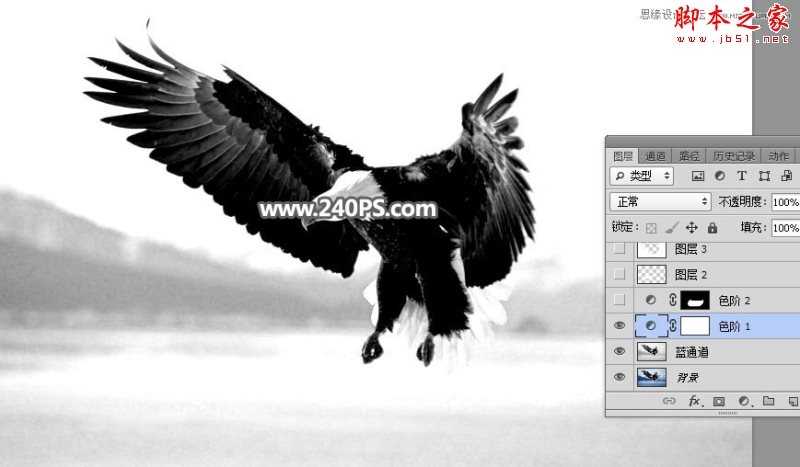 PS利用通道抠图快速抠出在天空中飞翔的雄鹰教程