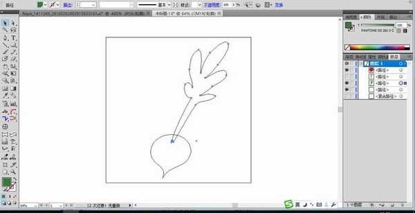 ai怎么绘制水萝卜? ai画彩色萝卜的教程