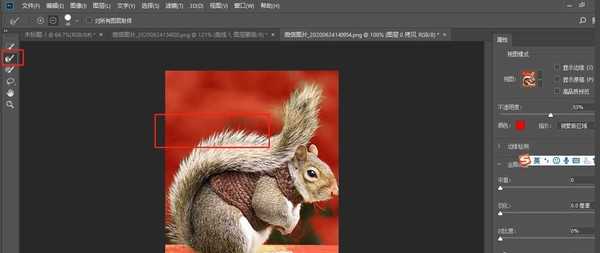 photoshop怎么快速抠动物毛发?PS抠取动物毛发的实用技巧